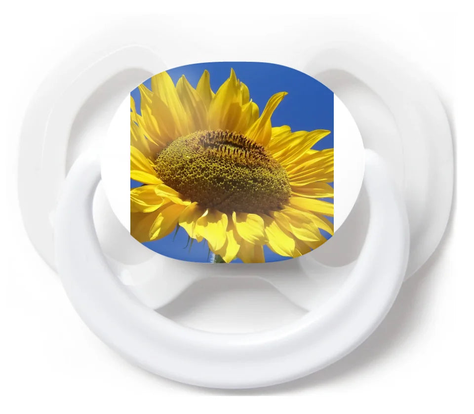 o-1 (2)